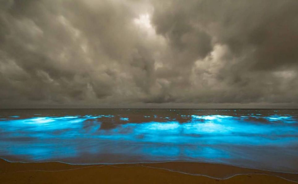 Uchwycili niezwykły fenomen. Elektryczne morze