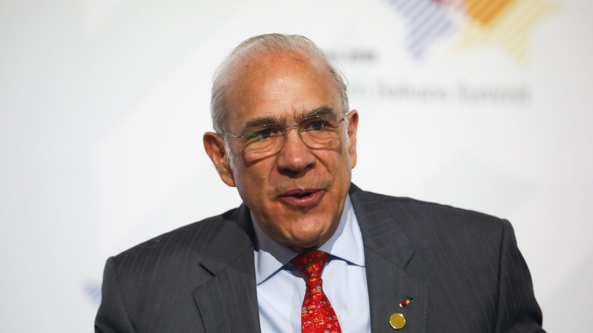 Angel Gurría, sekretarz generalny OECD rozwiewa nadzieje tych, którzy wierzą, że światowe gospodarki szybko pozbierają się po epidemii