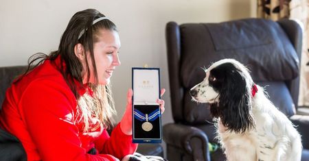Przyznali suczce medal. "Dzięki Molly mogę żyć"