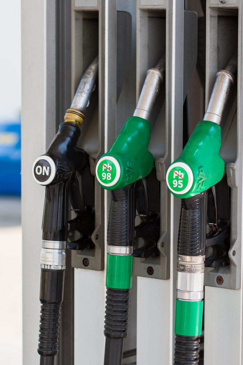 Spółka Onico zajmuje się obrotem paliwami