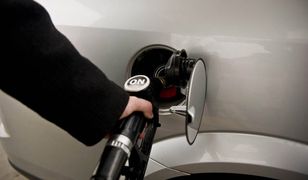 Kierowcy przeciw wysokim cenom paliw