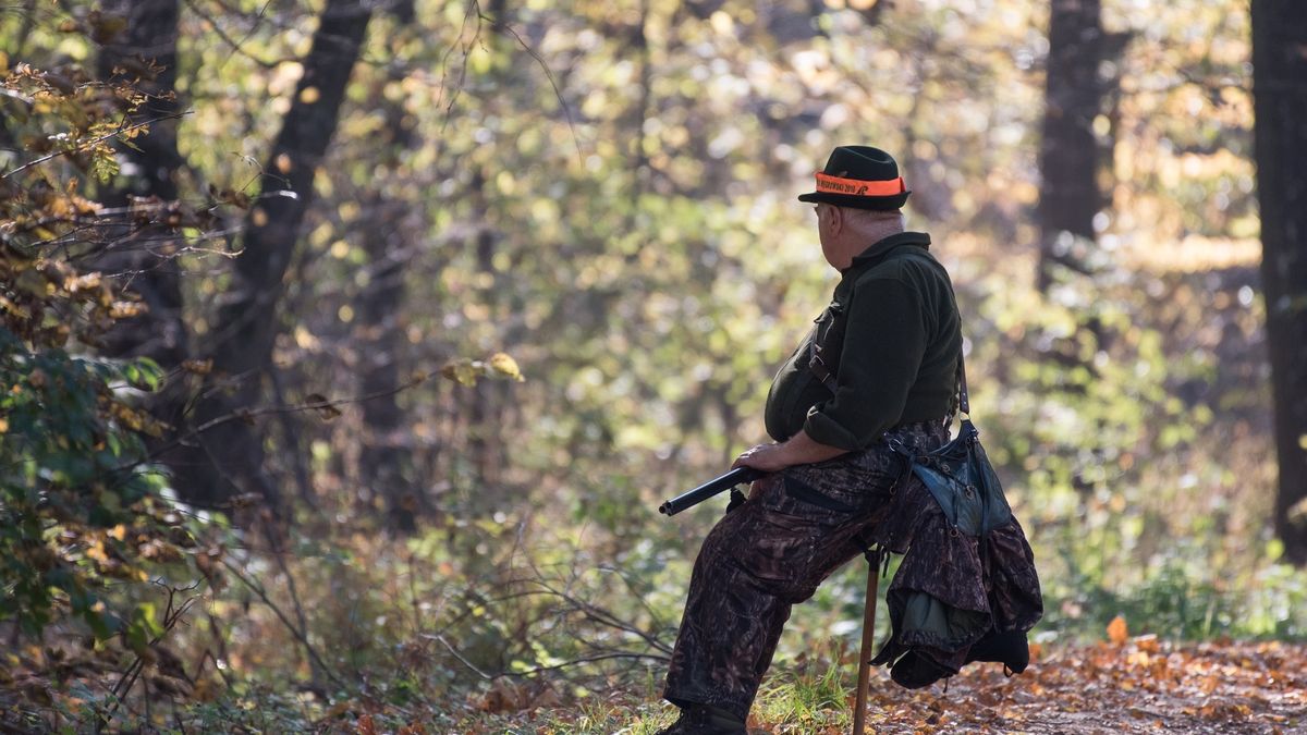Rolnicy apelują, by rząd objął nadzorem polskie łowiectwo