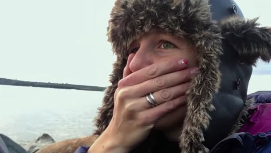 Setki morsów kończy swój żywot przy brzegu oceanu