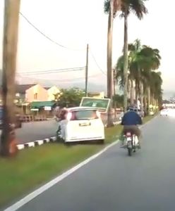 #dziejesiewmoto: samochód osobowy uderza w palmę