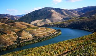 "Portugalia do zjedzenia"