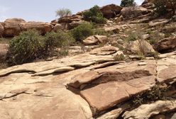 Somalia: zabili ministra. Przez pomyłkę