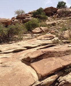 Somalia: zabili ministra. Przez pomyłkę