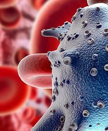 Będzie polska ektoina z bakterii dla medycyny i kosmetyki