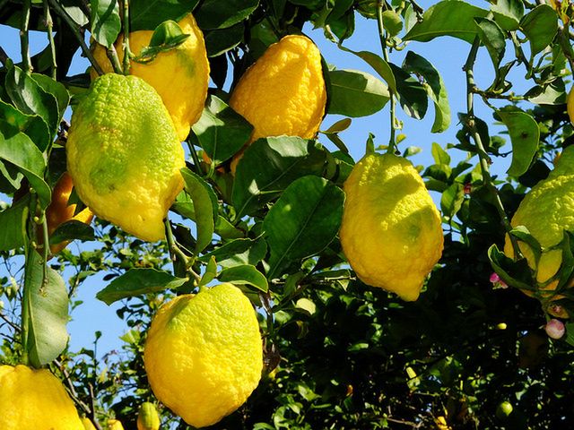 Krakowski Makaroniarz poleca: Sycylia warta spróbowania 