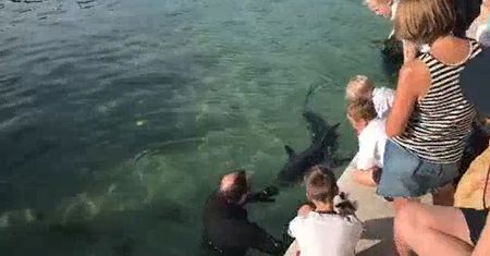 Australia. Tysiące turystów na plaży, ignorują wszelkie zakazy