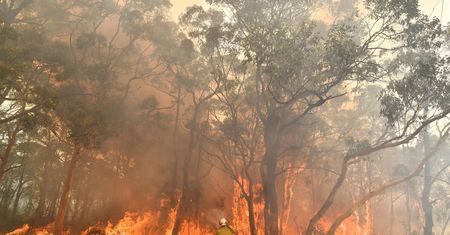 Pożary w Australii. Setki turystów uwięzionych przez ogień