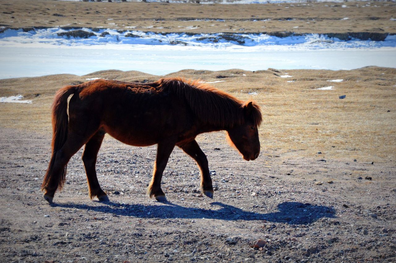 Mongolia – podróż po błękit