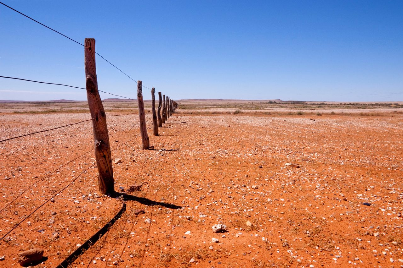 Groźne upały w Australii. Mogą paść kolejne rekordy