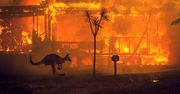 Australia płonie a ofiar jest coraz więcej. NASA pokazuje szokujące zdjęcia