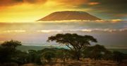 Tanzania - moda na Kilimandżaro
