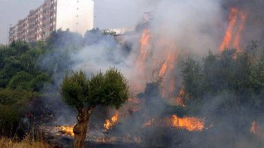 Płomienie dosięgają już prawie budynków mieszkalnych na przedmieściach Abrantes