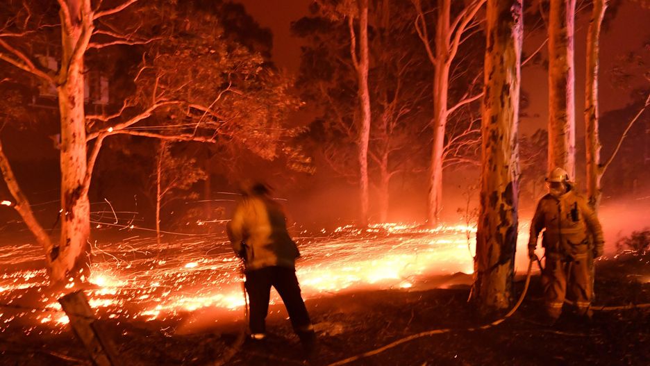 Australia. Z pożarami w Nowej Południowej Walii walczy 3,6 tys. strażaków