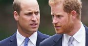 Nie będzie zgody między Harrym i Williamem. Decydujące okazało się spotkanie po odsłonięciu pomnika dla Diany