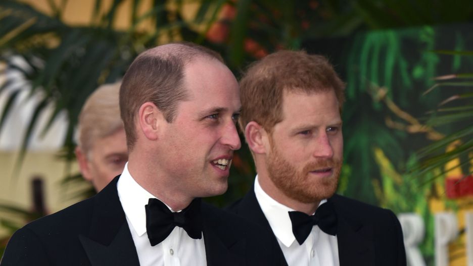 Harry i William na premierze filmu Netflixa "Our Planet" w Londynie w kwietniu 2019 r.