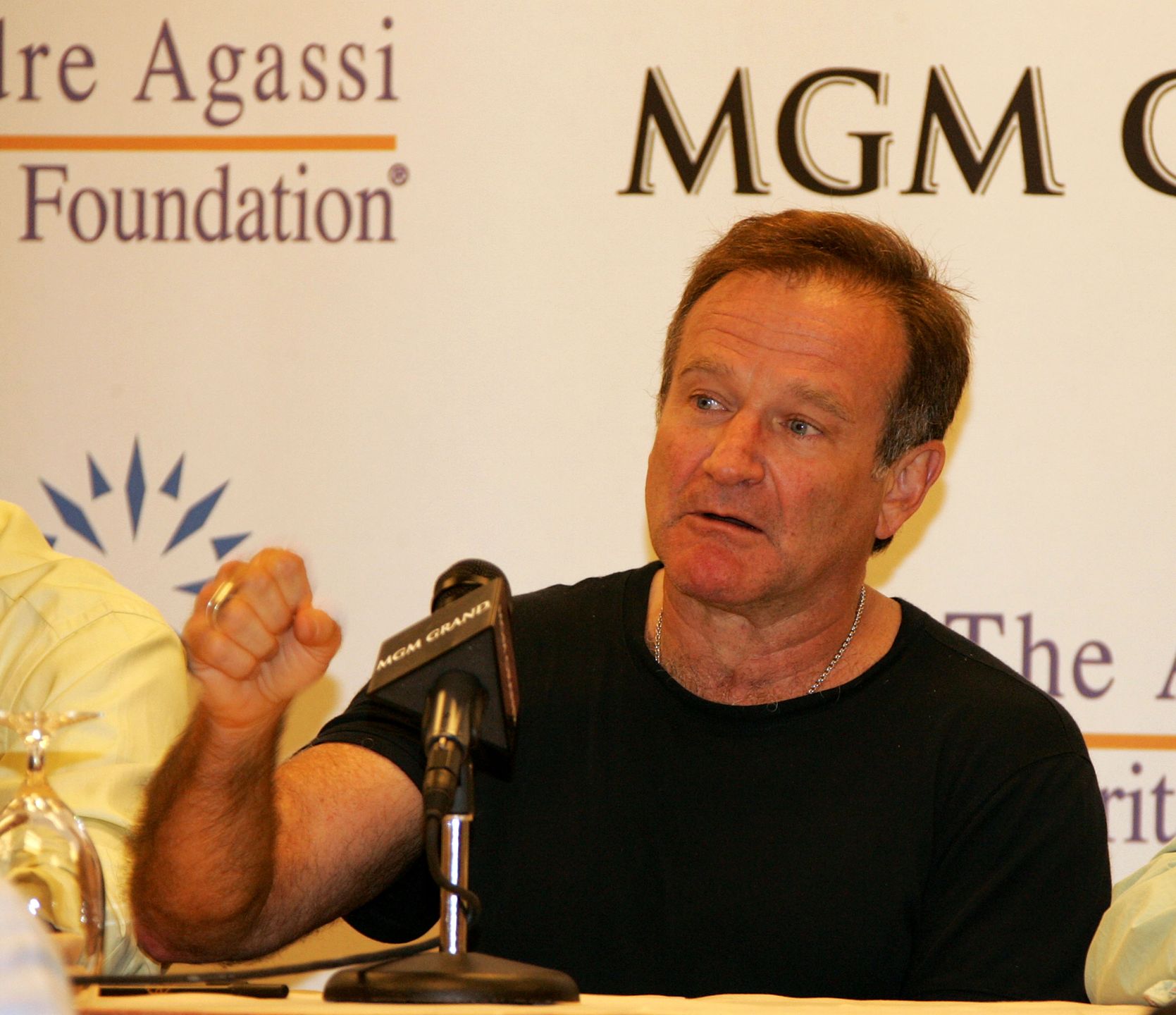 Robin Williams 