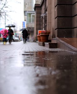 W wigilię pogoda rozczaruje niejednego. Szansy na białe święta nie ma