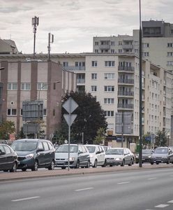 Burmistrz Woli nie chce drzew przy ulicy, bo "powodują ciemność na chodnikach"