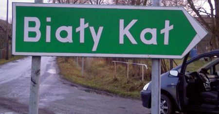 Odgadniesz, czy istnieją naprawdę?