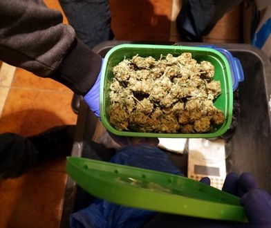 Narkotyki miały trafić do pseudokibiców. Akcja policji w Warszawie [ZDJĘCIA]