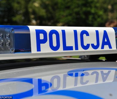 Tragiczny wypadek na drodze w Lubuskiem. Nie żyją trzy osoby