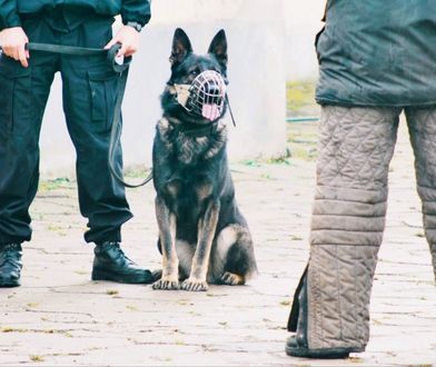 Mazowsze. Zasłużony funkcjonariusz policji przechodzi na emeryturę