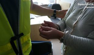 Do kobiety przyjechała karetka, a później policja. Wszystko przez komara