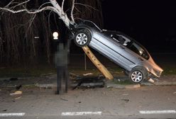 21-latek „zaparkował” bmw na brzozie. Był pijany