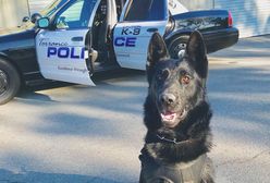 Strzelanina w kręgielni na przedmieściach Los Angeles. Policja: „Jest wiele ofiar”