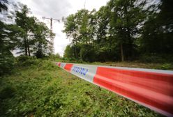 Jelenia Góra: nożownik z Parku Żiżki zatrzymany