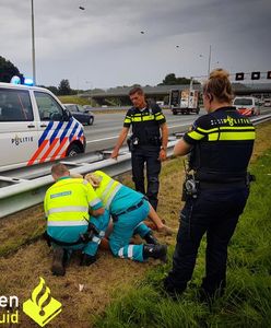 Przeszedł przez osiem pasów autostrady. To cud, że nic mu się nie stało