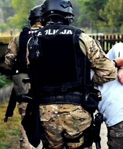 "Przyznał się".  21-latek podejrzany o uprowadzenie i gwałt na dziecku