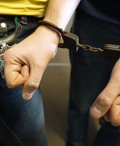 "Tulipan" w rękach policji. Wykorzystywał kobiety w całej Polsce