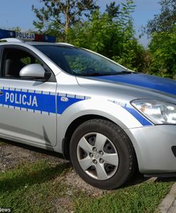 Złodzieje przejechali kobietę samochodem. Wyszli na wolność, bo poręczył za nich ważny Rom