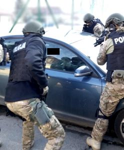 Obława CBŚP na agencje towarzyskie. Zlikwidowano 19 "mieszkaniówek"