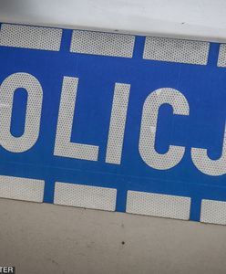 Powiesił psa na drzewie. Zaproponował dla siebie karę