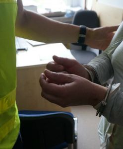 Do kobiety przyjechała karetka, a później policja. Wszystko przez komara