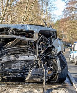 Lubuskie. Wypadek w Ciborzu. Śledczy badają nowy wątek