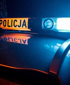 Ciało mężczyzny w walizce. Makabryczne odkrycie w Grzybowej Górze