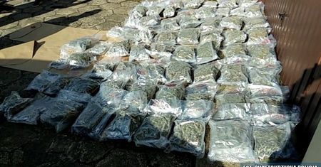Małżeństwo z Kielc przemyciło do Polski 30 kg marihuany