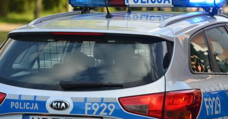 Brutalnie zamordował psa. Roztrzaskał szczenię o drzewo