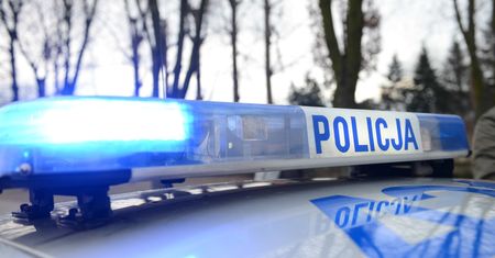 Sadysta spod Sycowa brutalnie przejechał psa. Usłyszał zarzut