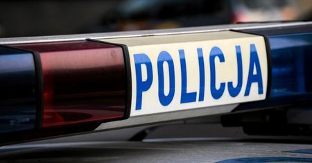 Śmiertelny wypadek na DK91. Samochód zderzył się z łosiem