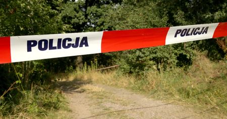 Makabryczne odkrycie w lesie. Znaleziono zwłoki przysypane ziemią