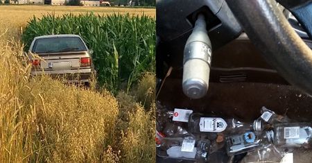 Pijany "kosił" owies i kukurydzę. Myślał, że prowadzi kombajn?