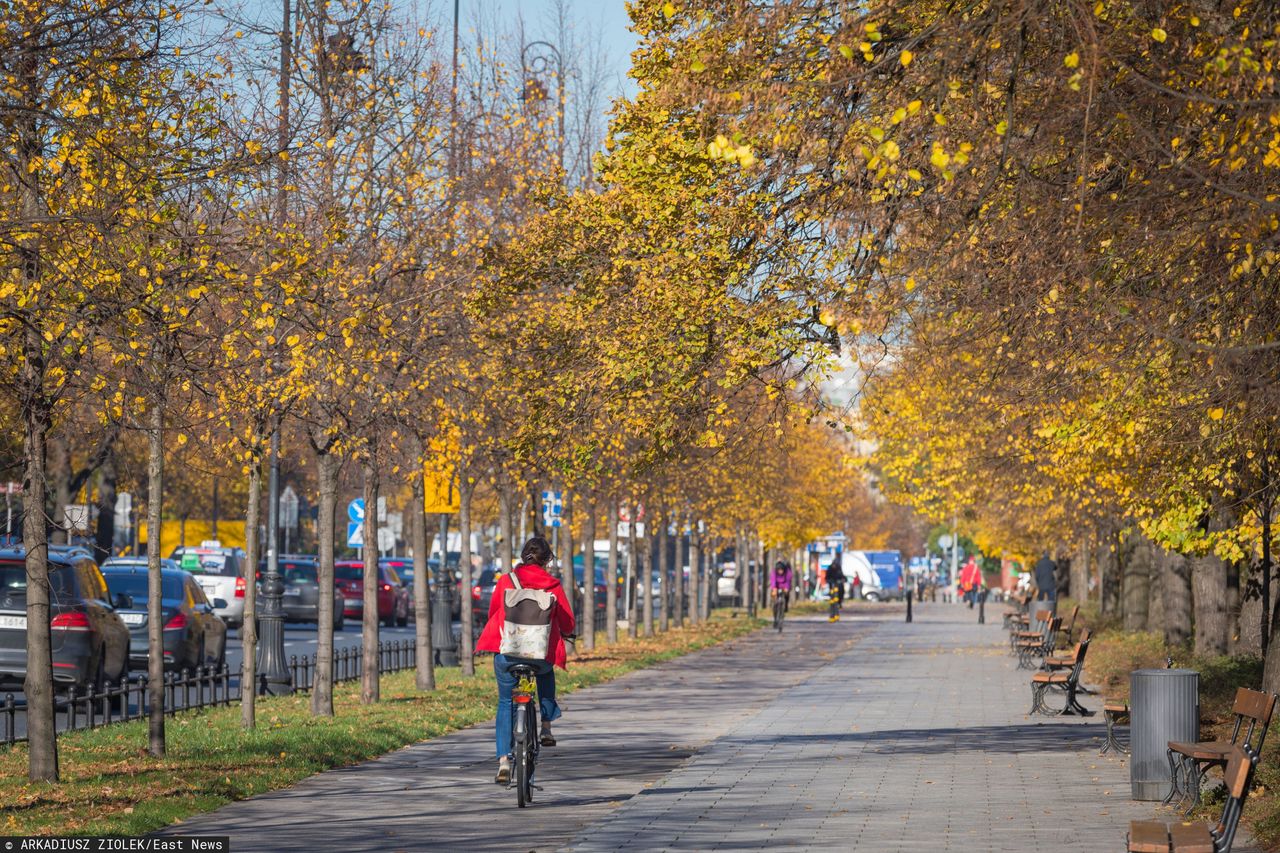 Warszawa. Podróżował z amfetaminą na kradzionym rowerze